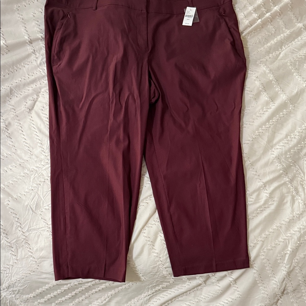Lane Bryant Maroon Pants